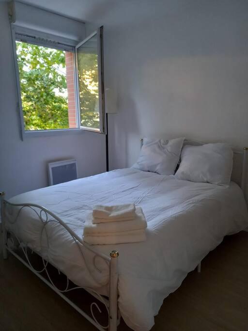 Appartement Cosy Cugnaux Εξωτερικό φωτογραφία